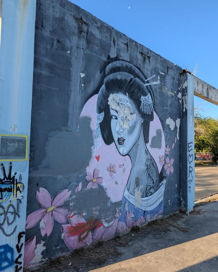 Delicate geisha mural with cherry blossoms painted on a weathered concrete wall