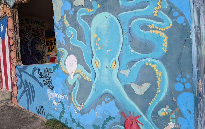 Vibrant octopus mural in teal and blue painted on a crumbling exterior wall