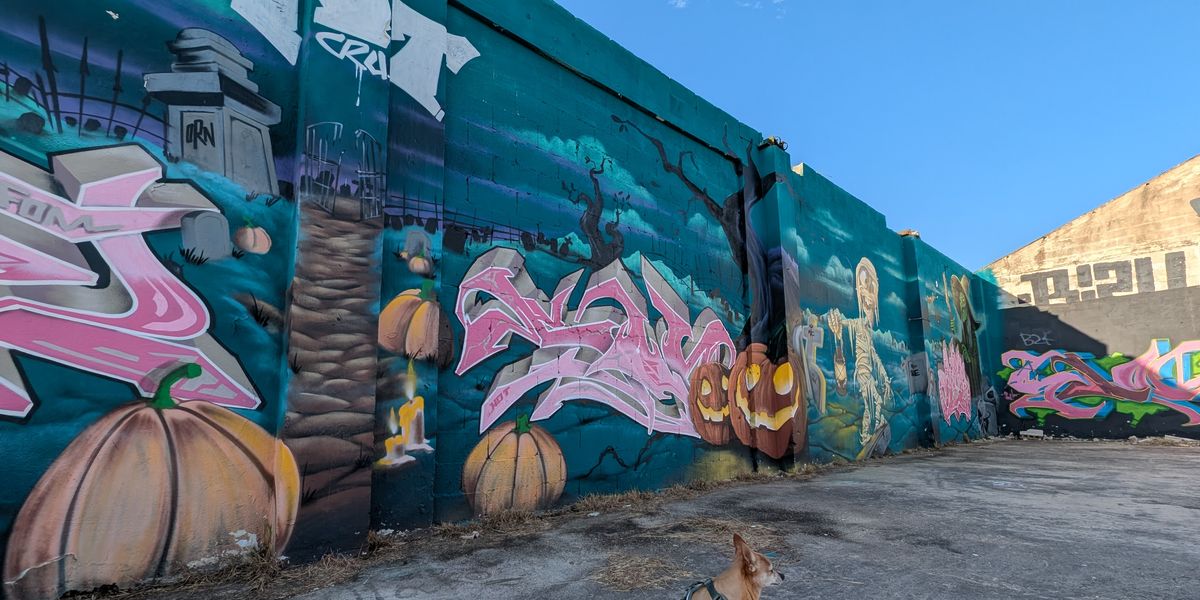 Long teal mural wall featuring Halloween-themed street art with a dog in the foreground