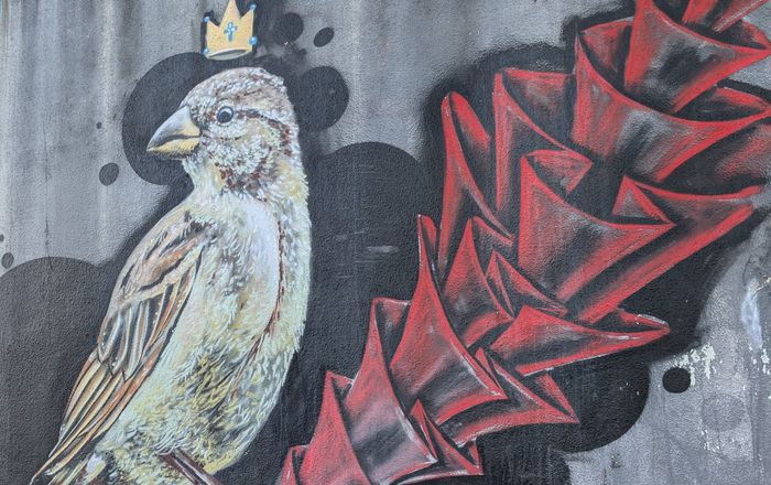 Crowned sparrow mural with a sweeping red abstract wing on a dark concrete wall