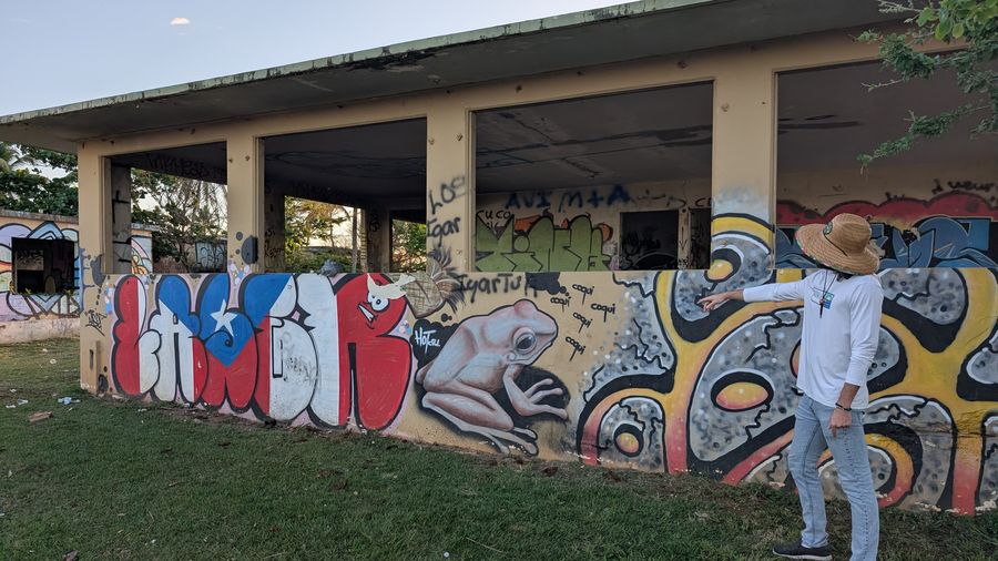 Tour guide pointing out details on a large street art mural on an abandoned building